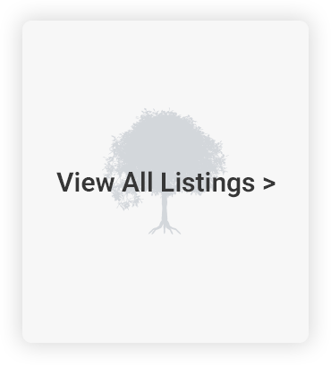 View All