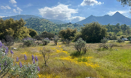 Sierra Drive, Three Rivers, California