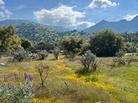 Featured Home for Sale