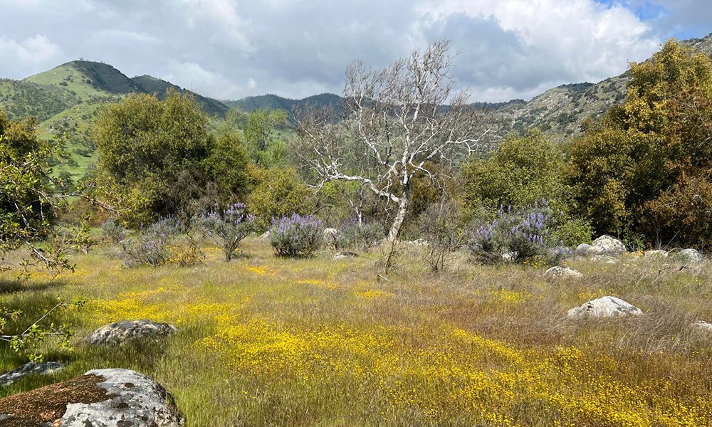 0 Sierra Drive, Three Rivers, California 93271