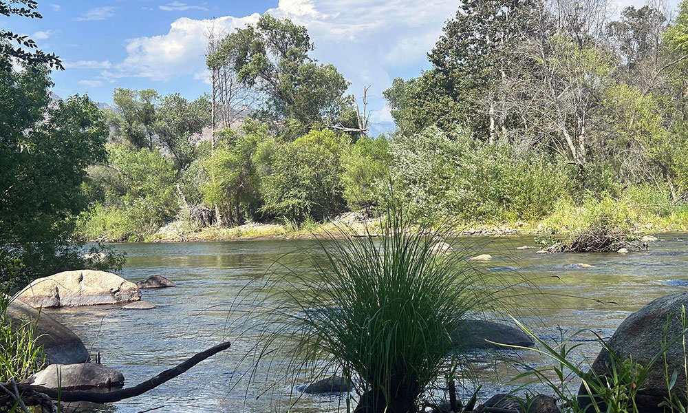 42001 North Fork Drive, Three Rivers, CA 93271