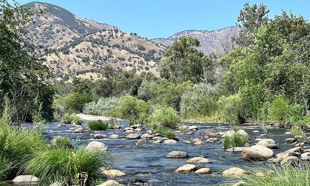 42001 North Fork Drive, Three Rivers, CA 93271