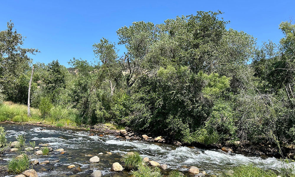 42001 North Fork Drive, Three Rivers, CA 93271