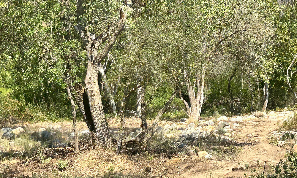 42001 North Fork Drive, Three Rivers, CA 93271