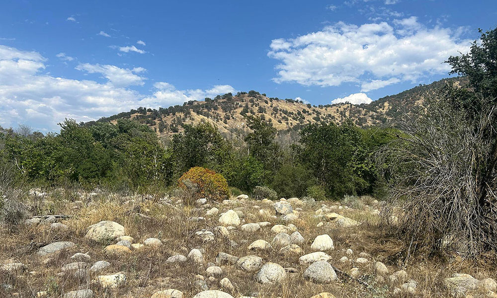 42001 North Fork Drive, Three Rivers, CA 93271
