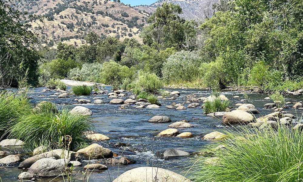 42001 North Fork Drive, Three Rivers, CA 93271