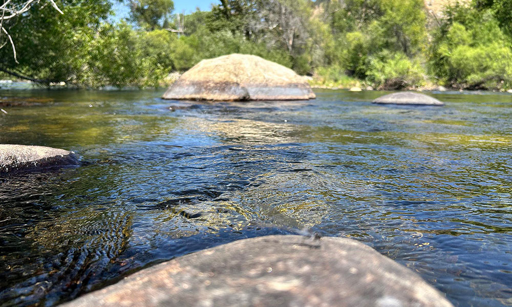 42001 North Fork Drive, Three Rivers, CA 93271