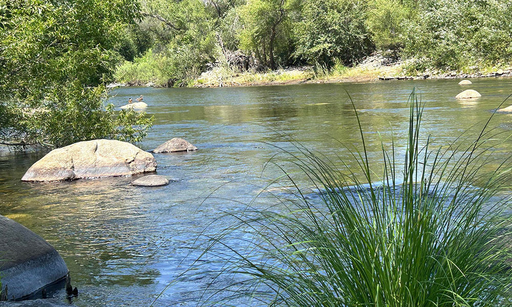 42001 North Fork Drive, Three Rivers, CA 93271