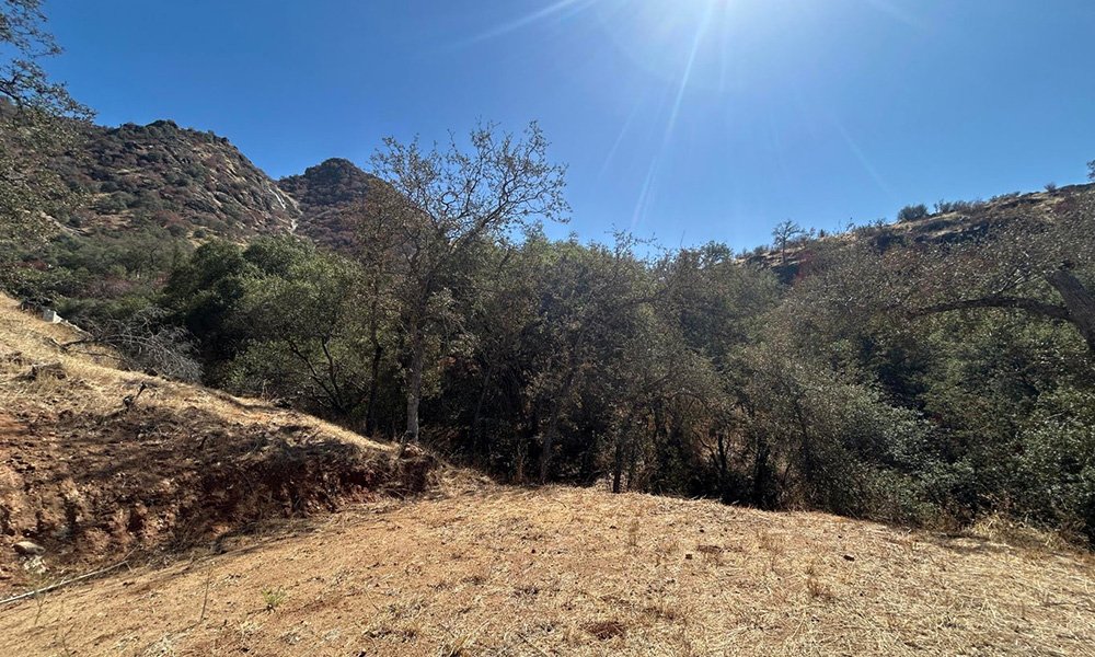 42367 Corral Drive, Three Rivers, CA 93271