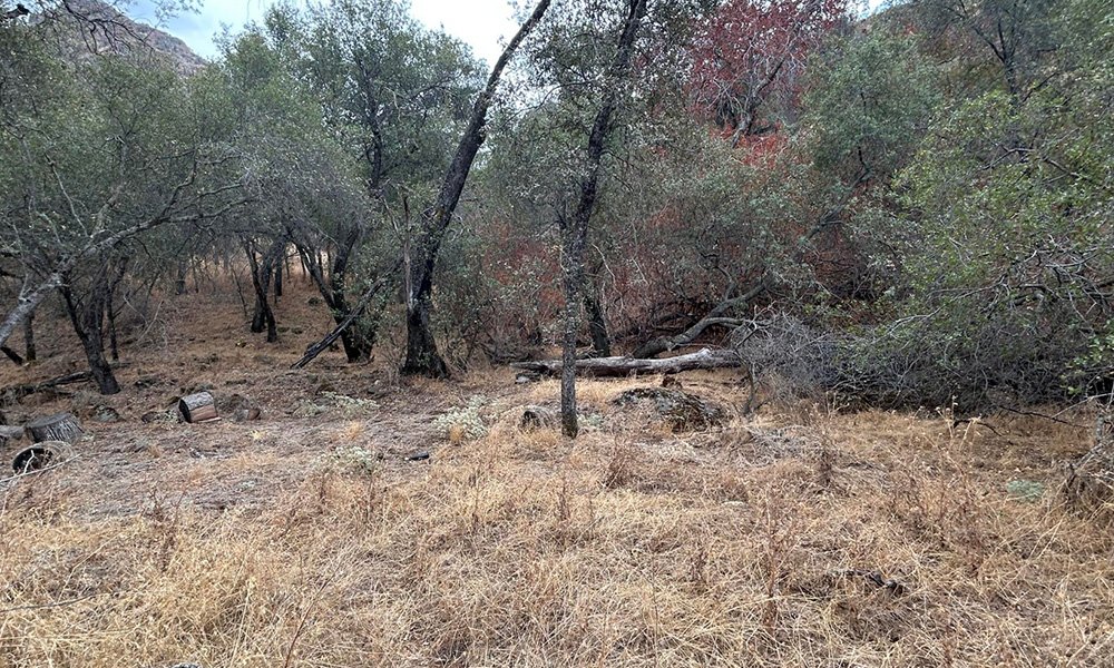 42367 Corral Drive, Three Rivers, CA 93271