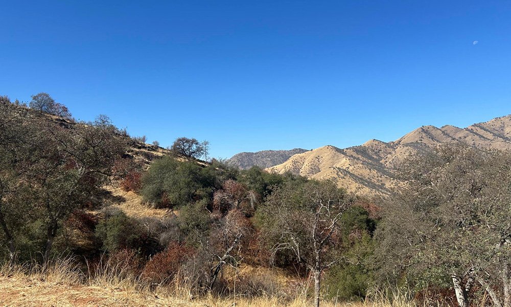 42367 Corral Drive, Three Rivers, CA 93271